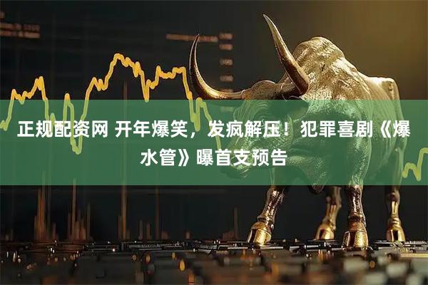 正规配资网 开年爆笑，发疯解压！犯罪喜剧《爆水管》曝首支预告