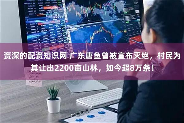 资深的配资知识网 广东唐鱼曾被宣布灭绝，村民为其让出2200亩山林，如今超8万条！