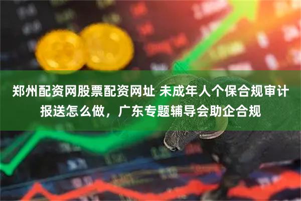 郑州配资网股票配资网址 未成年人个保合规审计报送怎么做，广东专题辅导会助企合规