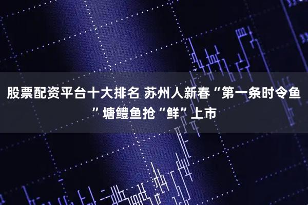 股票配资平台十大排名 苏州人新春“第一条时令鱼”塘鳢鱼抢“鲜”上市
